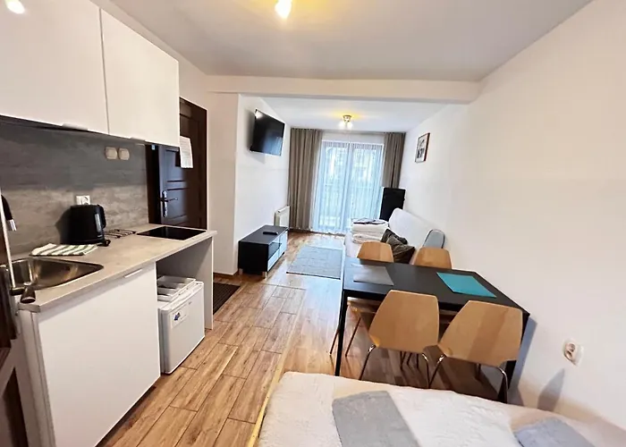 Nad Strumykiem 民宿 *